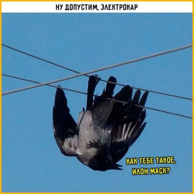 Так себе картинки 01.03.25