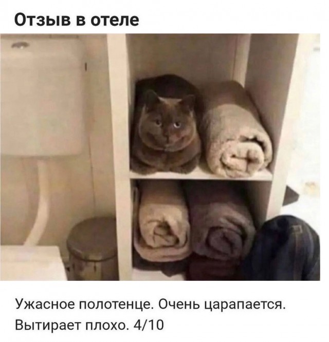 Так себе картинки 23.03.25