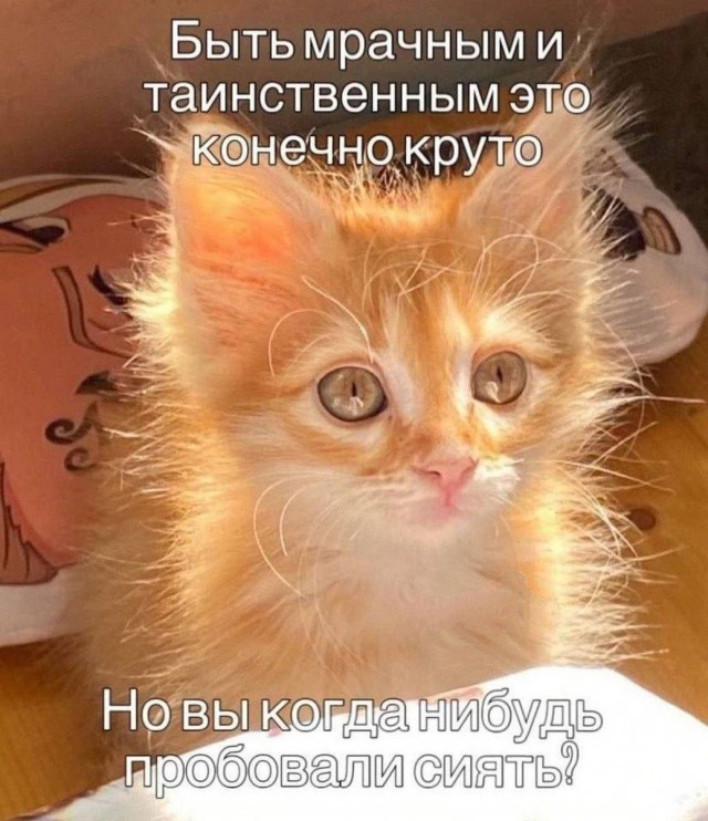 Пацаны, кто вы такие?