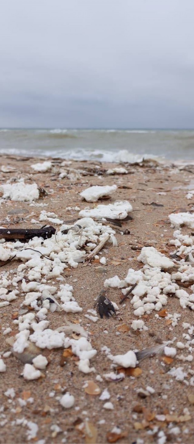 Про выбросы то ли сливочного, то ли пальмового масла на пляжи в Анапе