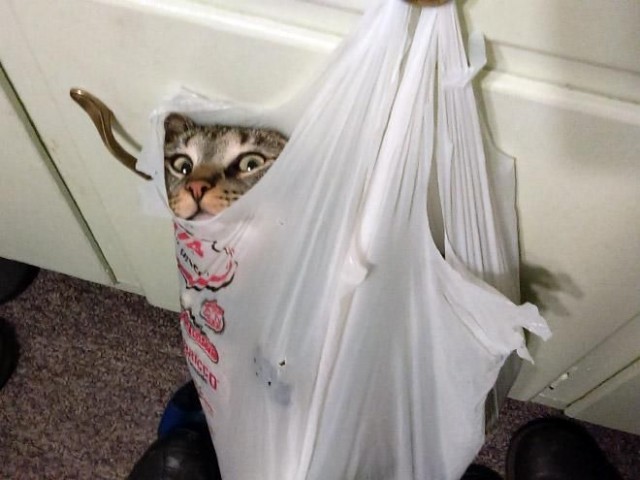 Мужчины, как с вами общаться?