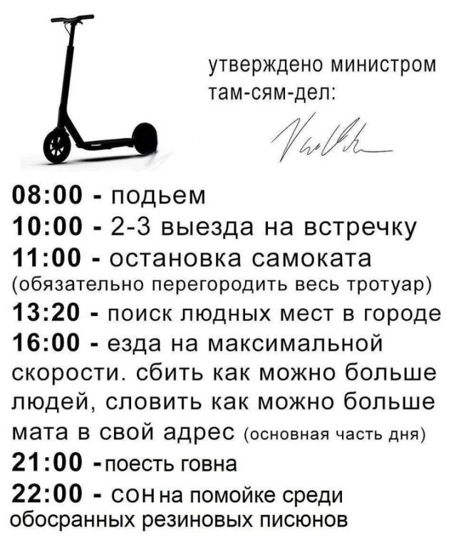 Весёлый полтишок 24.04.25