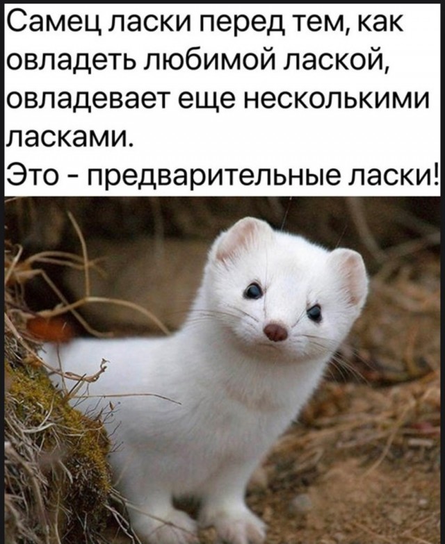 Падонги! Подчистил телефон. 15 есчё