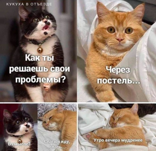 Так себе картинки 28.07.25