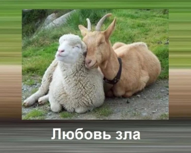 Так себе картинки 28.08.25
