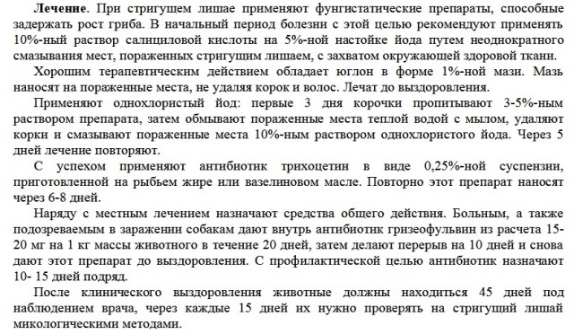 Вот такую красоту выбросили прямо в пластиковой клетке к мусорным контейнерам в Воронеже