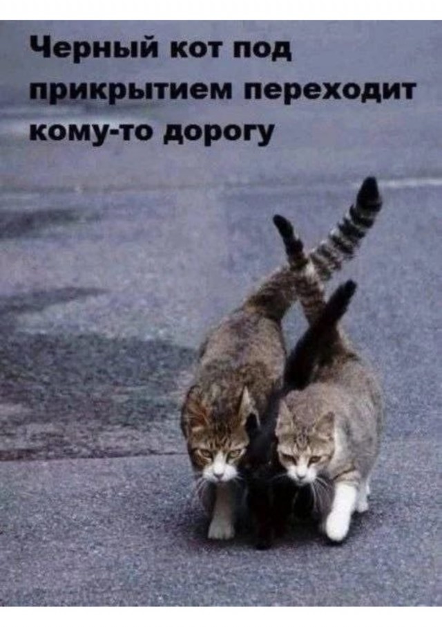 Картинки для деградации 48 (разной степени свежести)