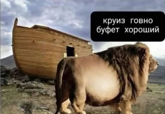 Картинки для деградации 55 (разной степени свежести)