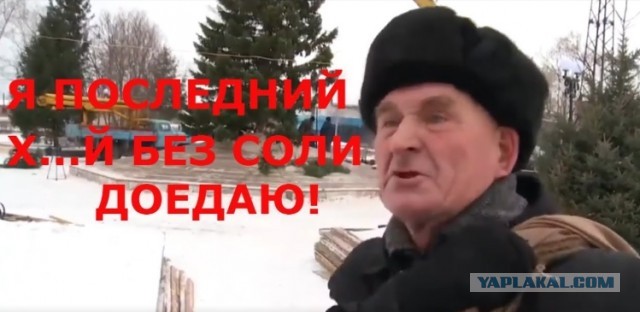 Спасли синичку