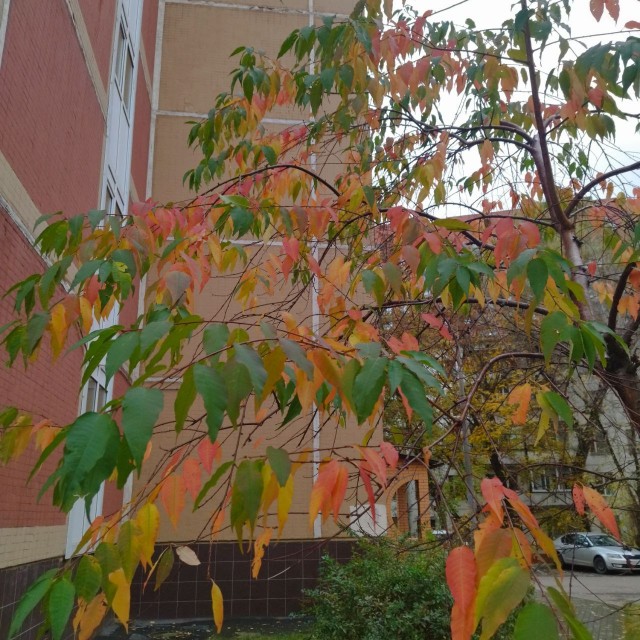 Техас готов к Хэллоуину