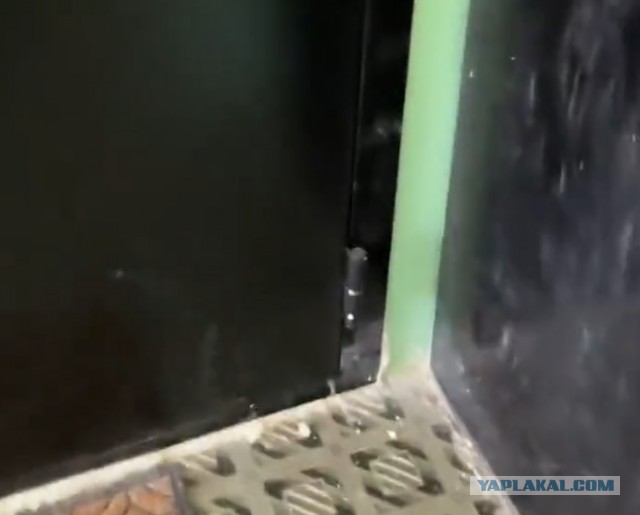 Новая соседская дверь