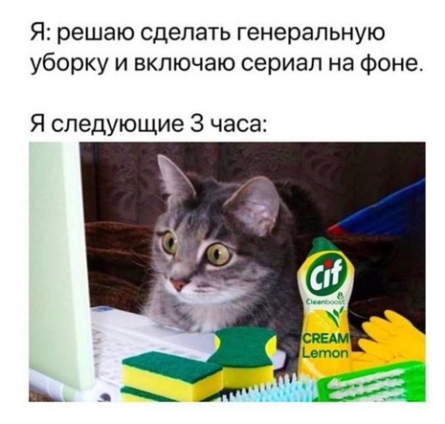 Веселые картинки в маленькую пятницу (21.01)