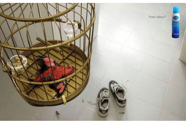 COUB, кубы пятничные 06.02.2026