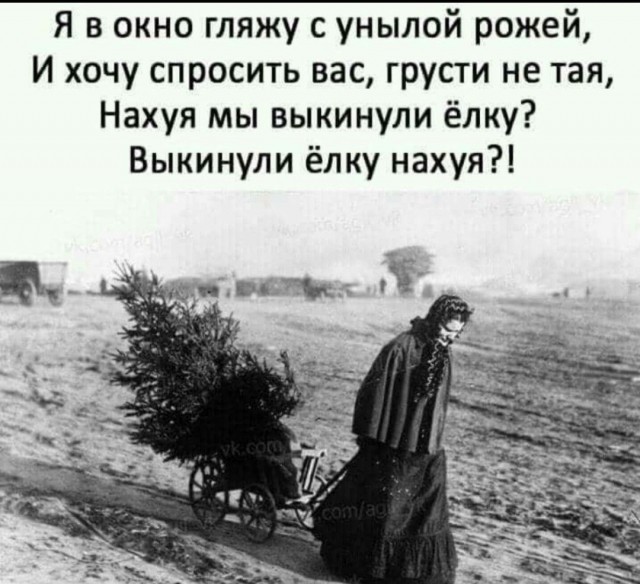 Тема дня