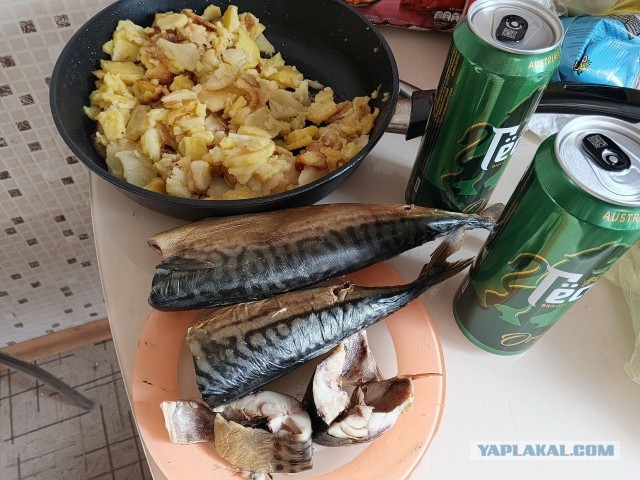 Давай нажрёмся скумбрии