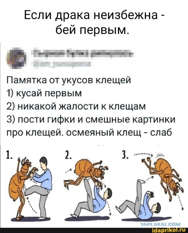 Как клещи захватили Россию за 30 лет. Индустрия зарабатывает на том, что вы боитесь выйти на природу