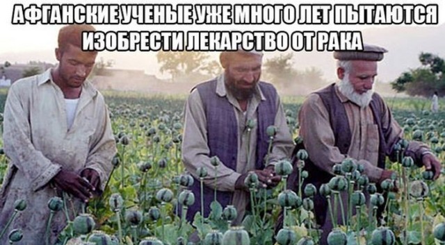 Афганистан рассматривает импорт в Россию бензина