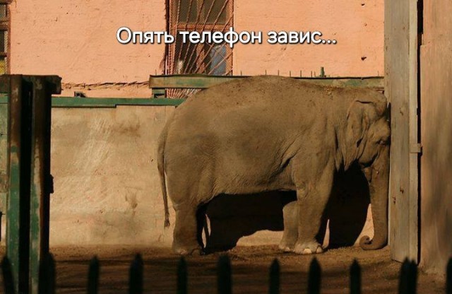 Телефон