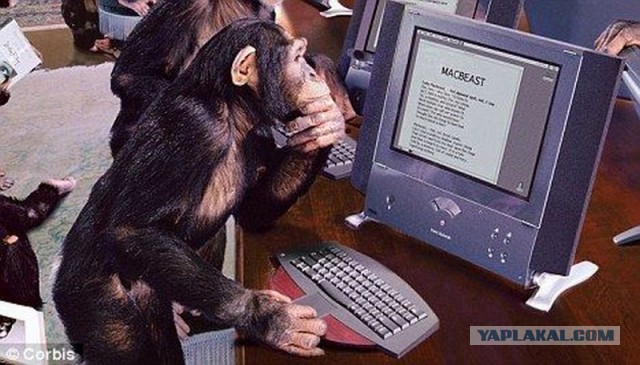 Журналистку "Слона" избили гомофобы