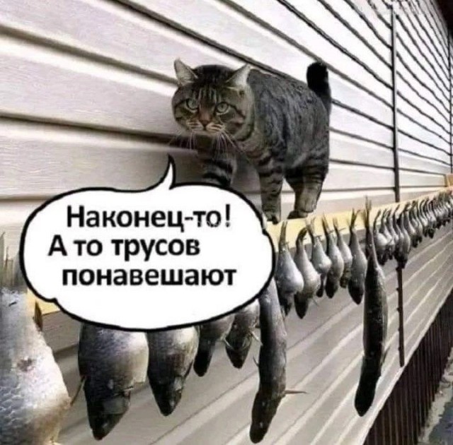 Картинки для деградации 303 (разной степени свежести)