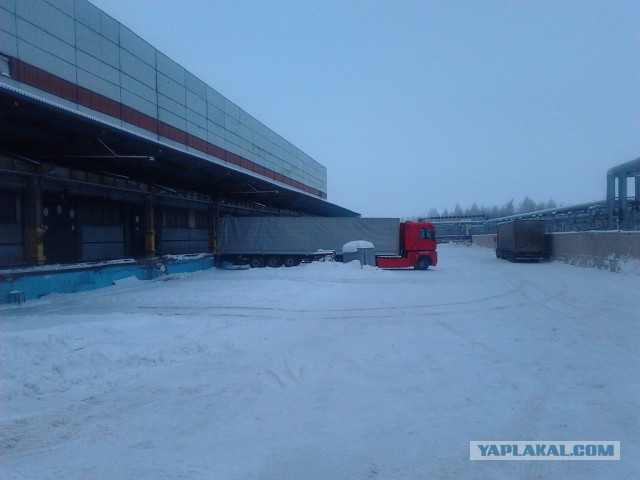 Где яблоки растут!