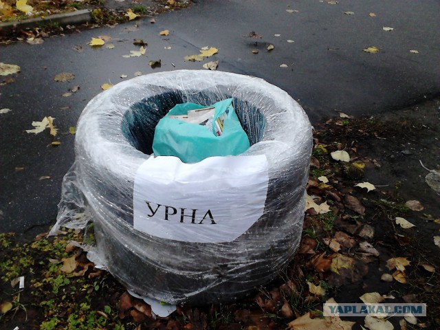 Решил выложить свои приколы