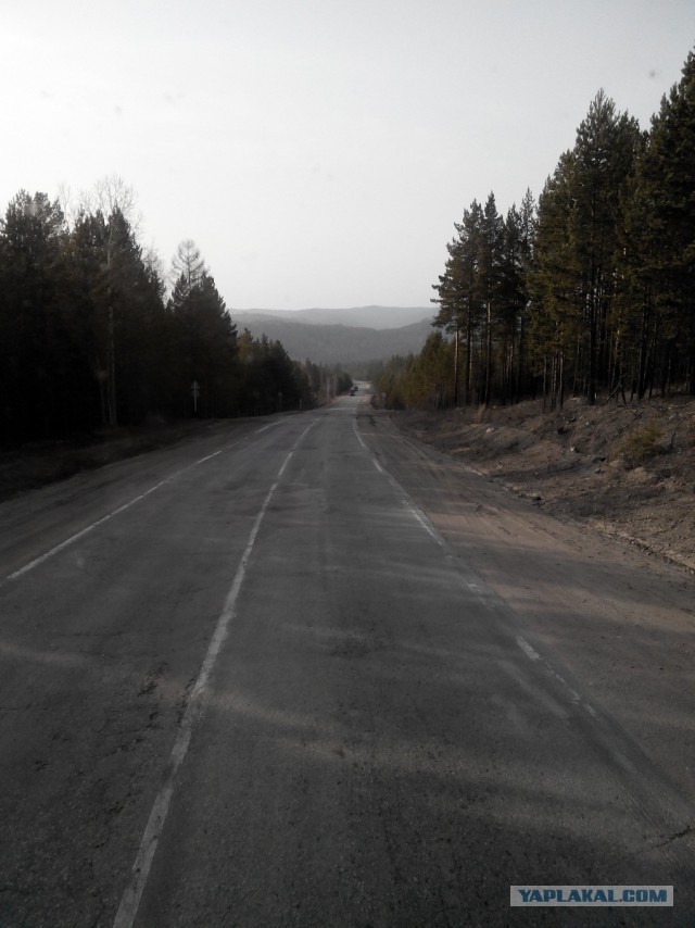 Странствия желтой скамейки)