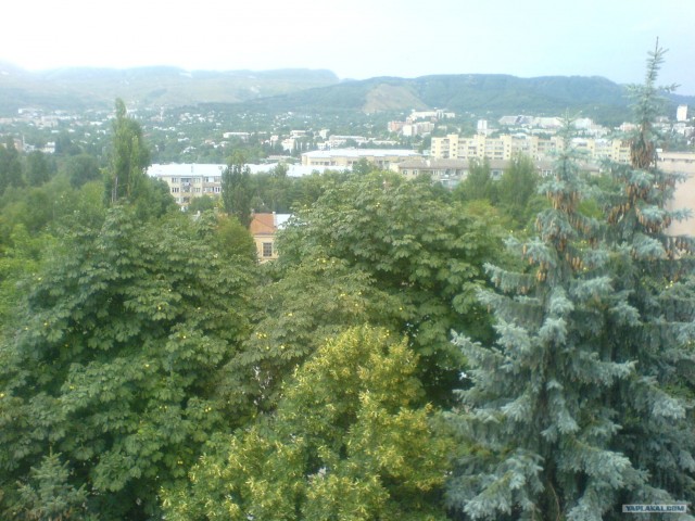Вид из вашего окна