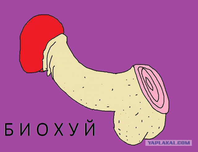 МЫ - биороботы! Доказательства