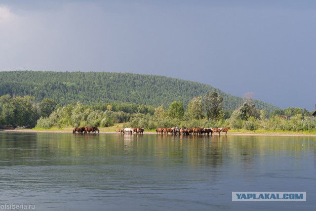 Десять дней без соц. сетей