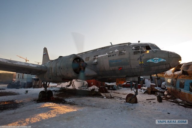 Восстановление Ил-14Т на Тушинском аэродроме