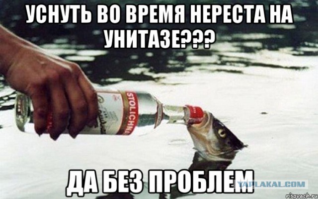 Люди, постигшие древнее искусство сон-фу