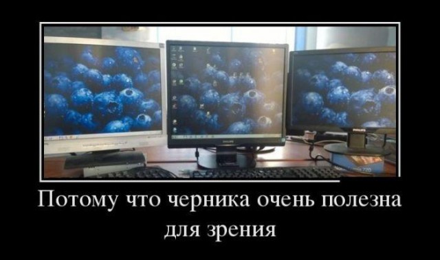 Забавные картинки из Сети