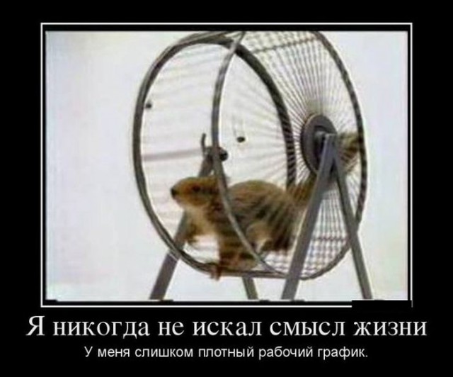 Картинки с просторов на четверг