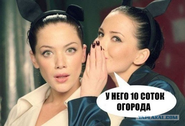 Девушкам на заметку