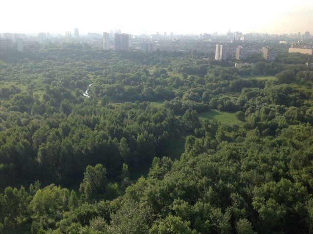 Моё увлечение фотографией