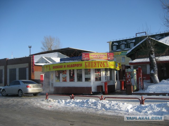 Прикольные картинки и демотиваторы