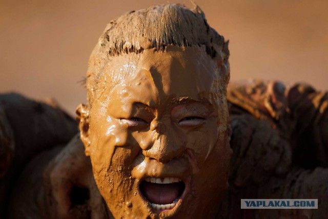 Понять и простить