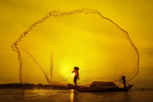 Картинки из сети