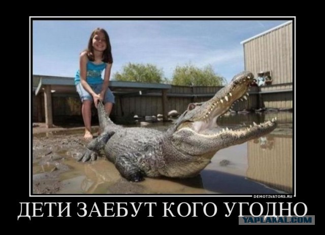 Гигантскую крысу нашли на детской площадке в Лондоне