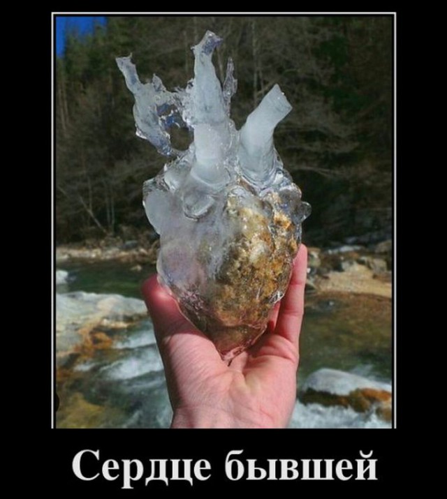 Картинки из сети, бессмысленные и беспощадные