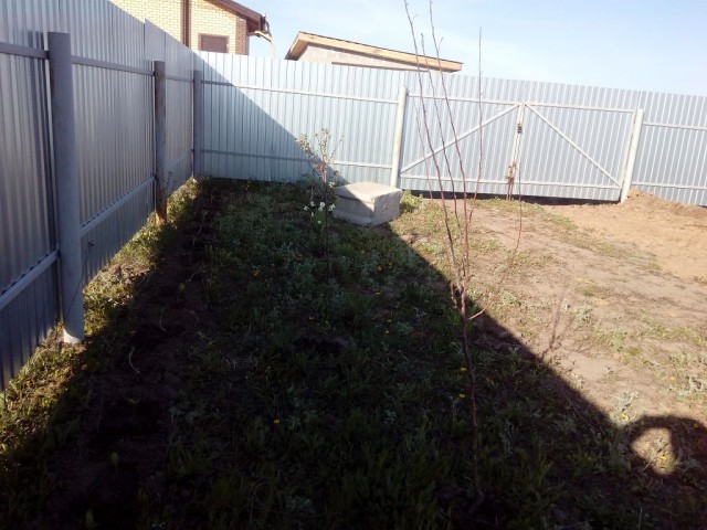 Как мы проводим свободное время!
