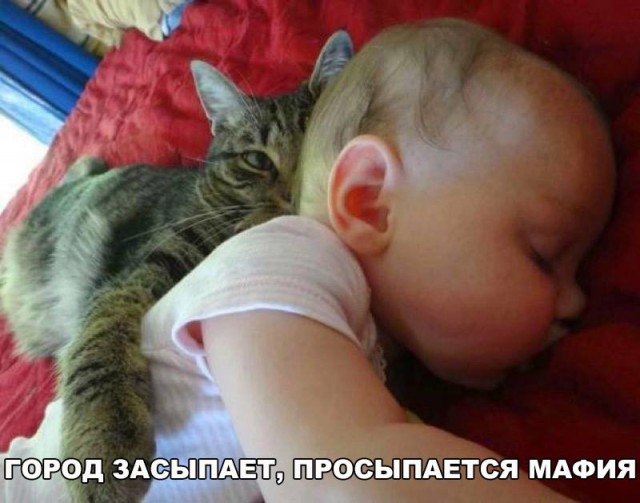 Подборка безудержного веселья
