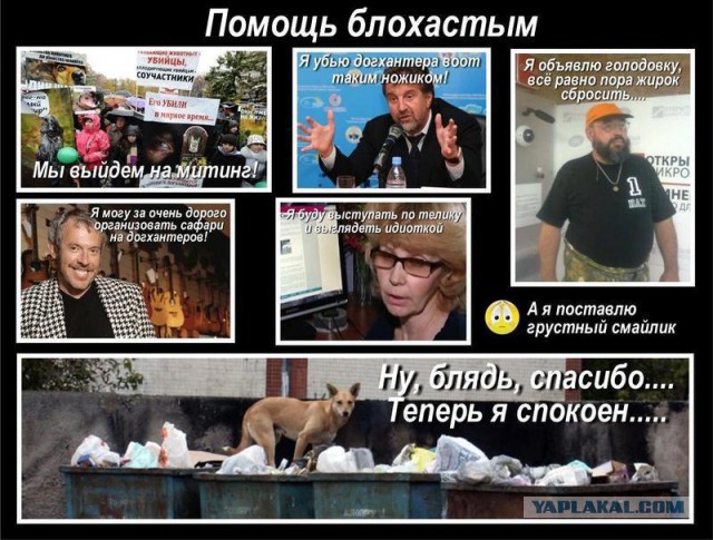 Встряхивая шинели забытой войны - Догхантеры снова нужны?!?!?!
