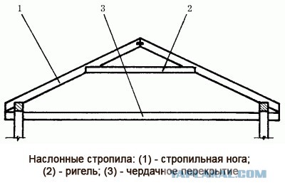 Звезда Ригель