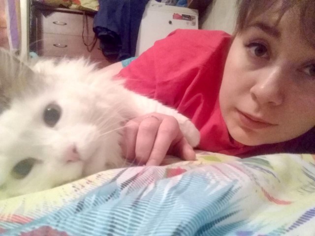 Котовторник  13.02.2018