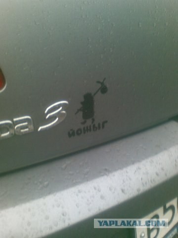 В тему про ёжика в тумане