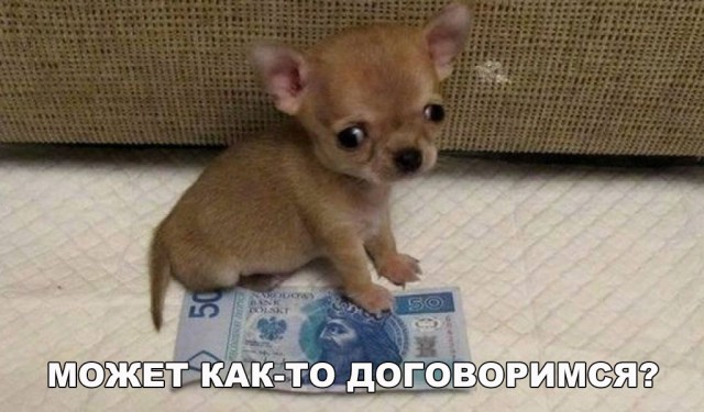 Нестандартный юмор