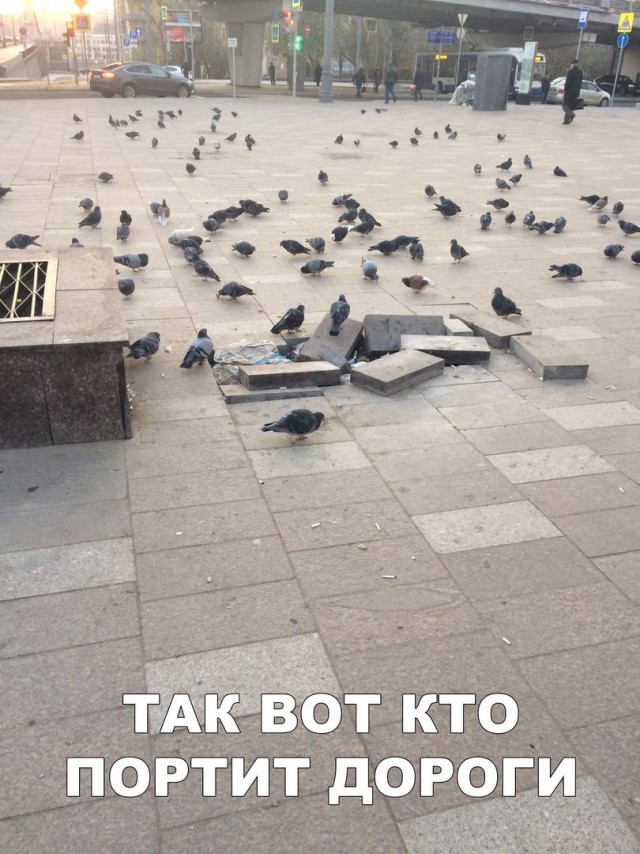 Выловлено в наших сетях