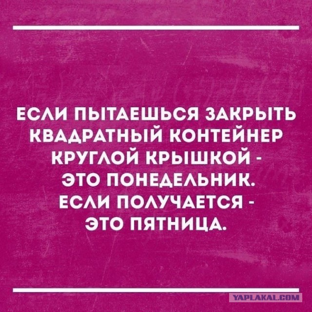 Одиночество в сети